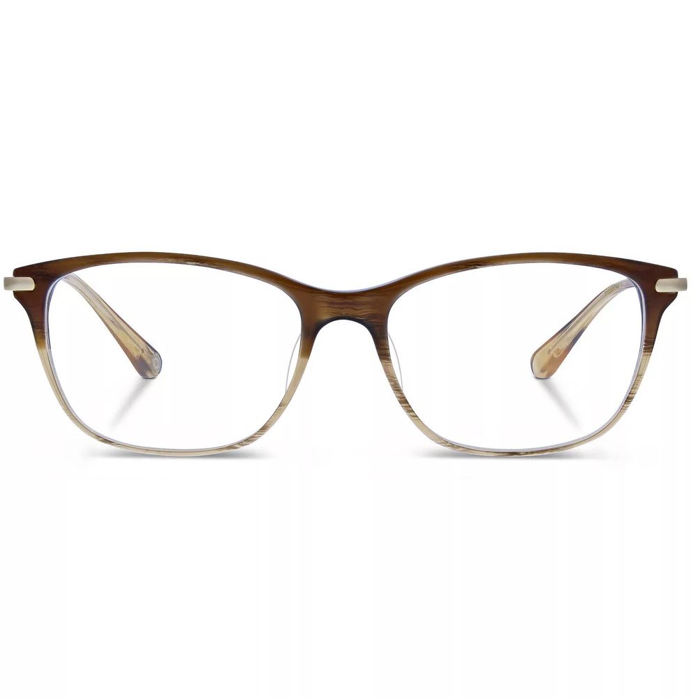 Röst Brown Titanium Glasses (Frames) | Regal Royce