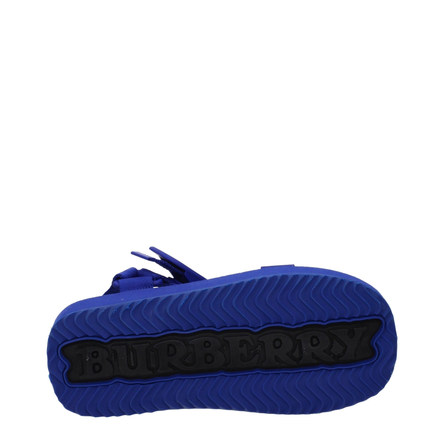 Burberry Blue Fabric Flat Sandals | Regal Royce
