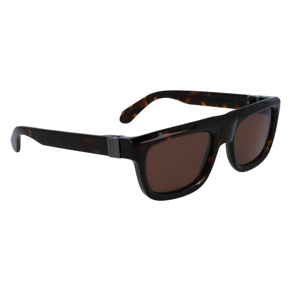 Ferragamo Brown Acetate Sunglasses | Regal Royce