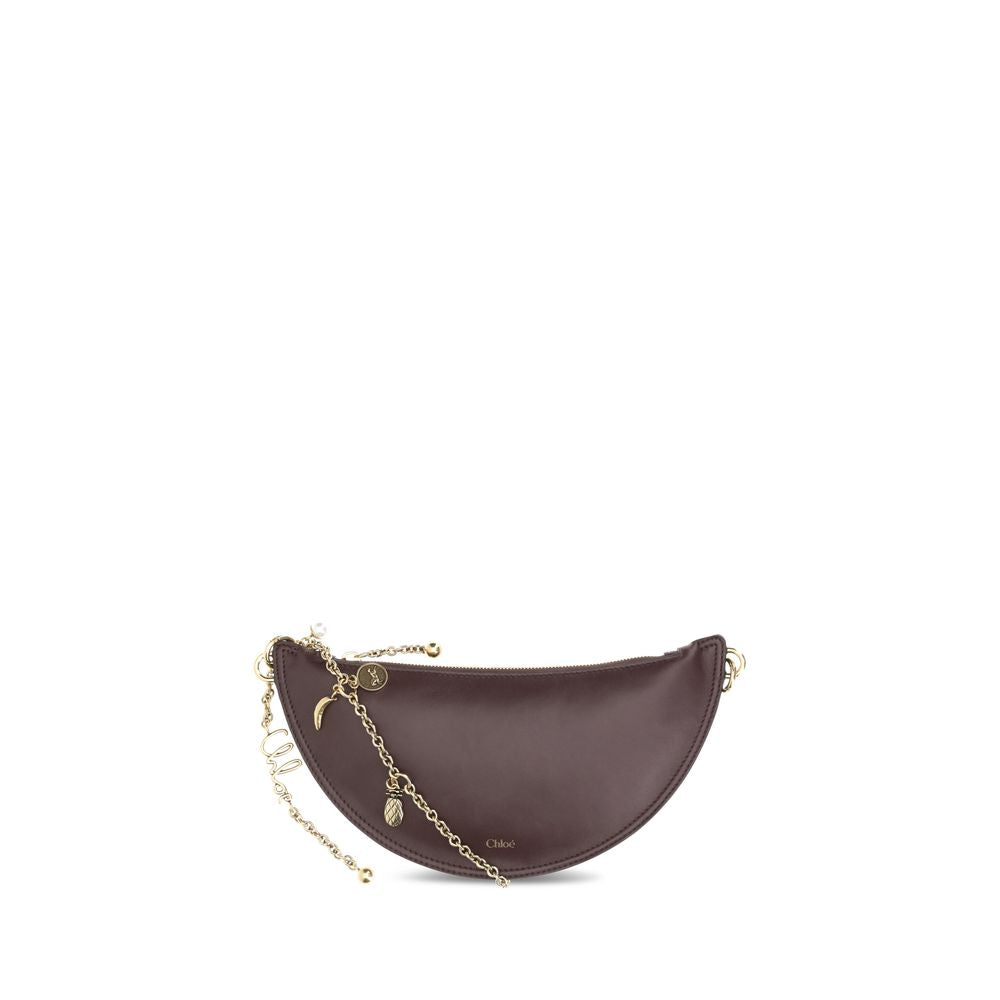 Chloé Brown Lamb Ovis Aries Aries Shoulder Bag | Regal Royce