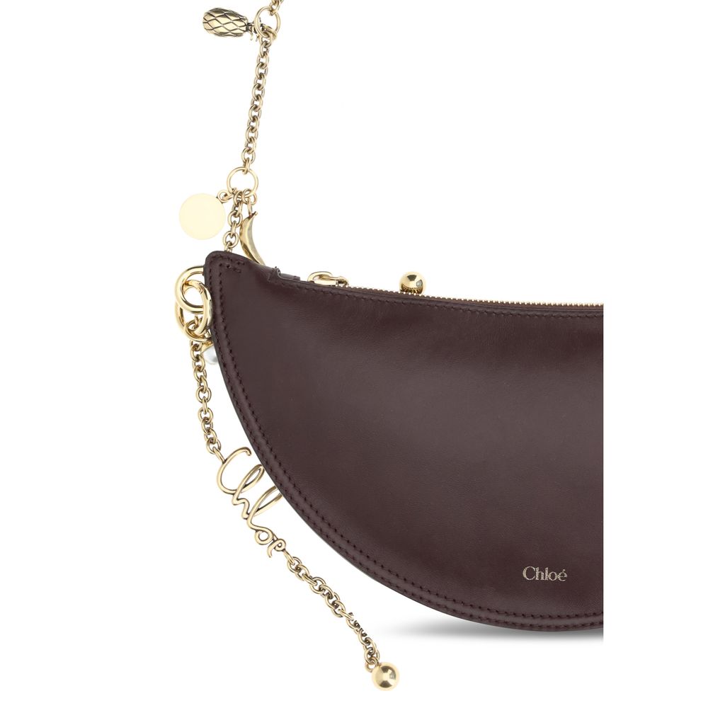 Chloé Brown Lamb Ovis Aries Aries Shoulder Bag | Regal Royce