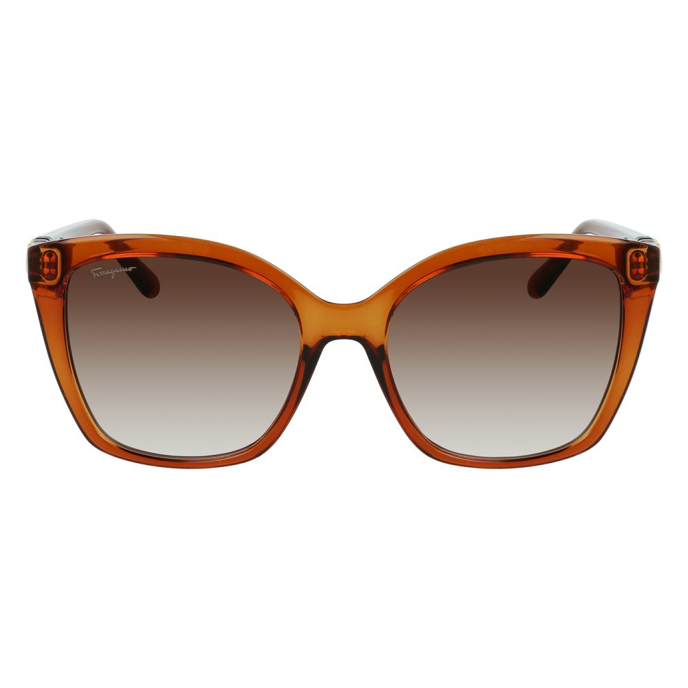 Ferragamo Brown Injected Sunglasses | Regal Royce