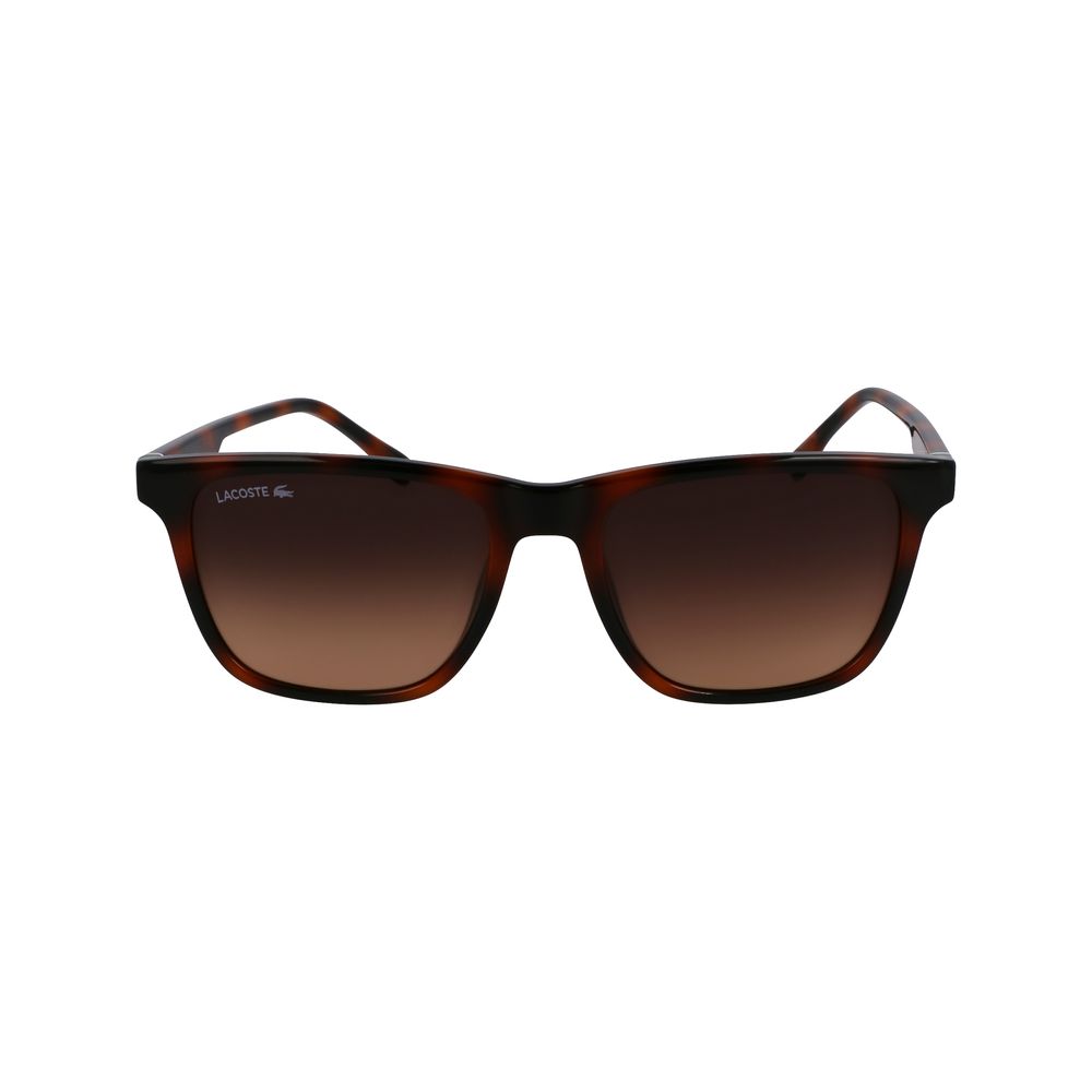 Lacoste Brown Injected Sunglasses | Regal Royce