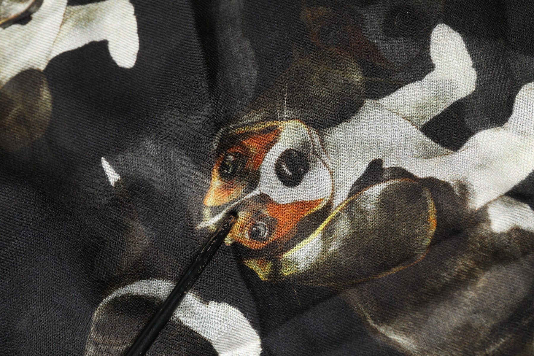 Dolce & Gabbana Black Modal Wool Dog Print Fringed 178cm x 64cm Scarf | Regal Royce