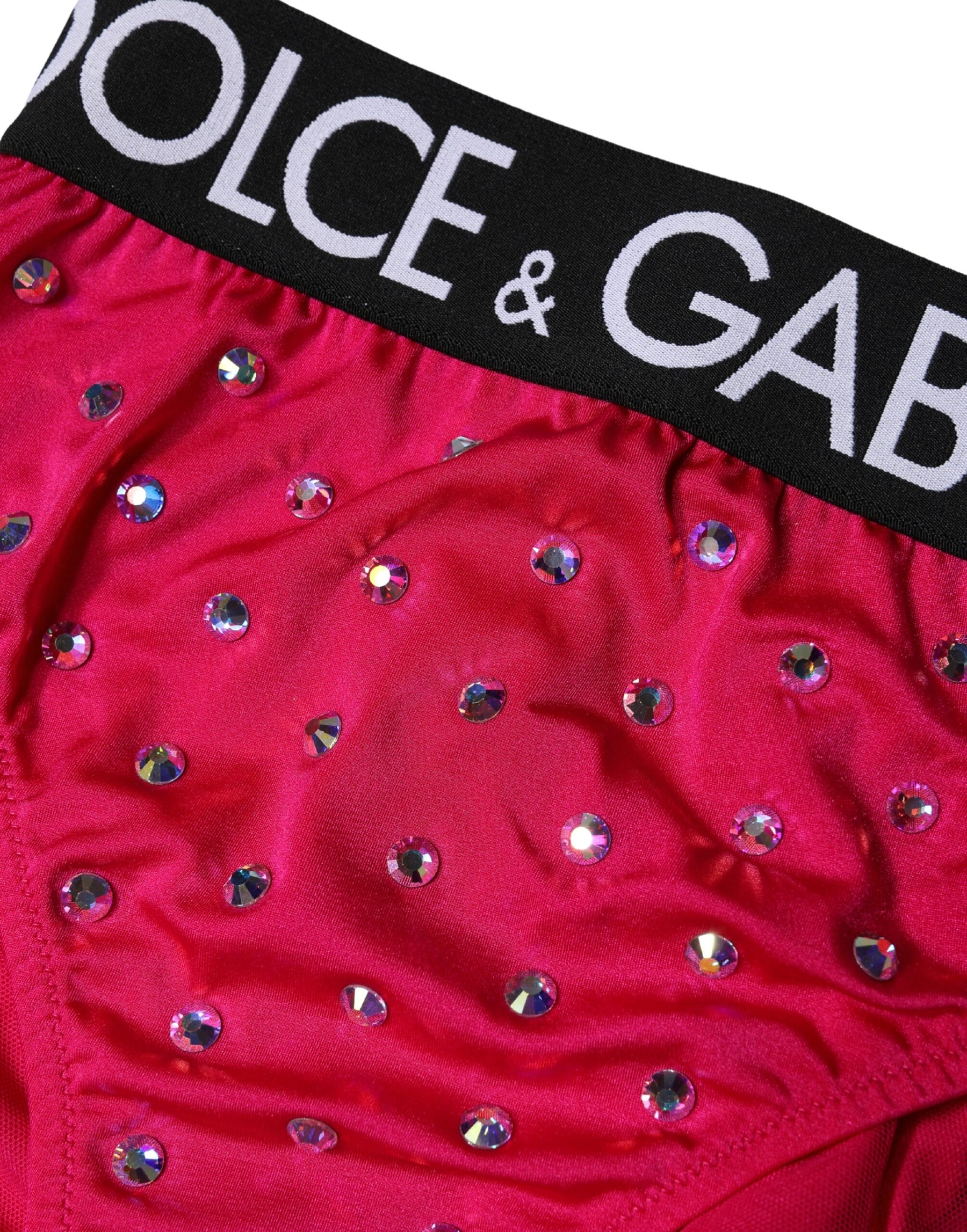 Dolce & Gabbana Pink Embellished High-Waist Brief Logo Underwear | Regal Royce