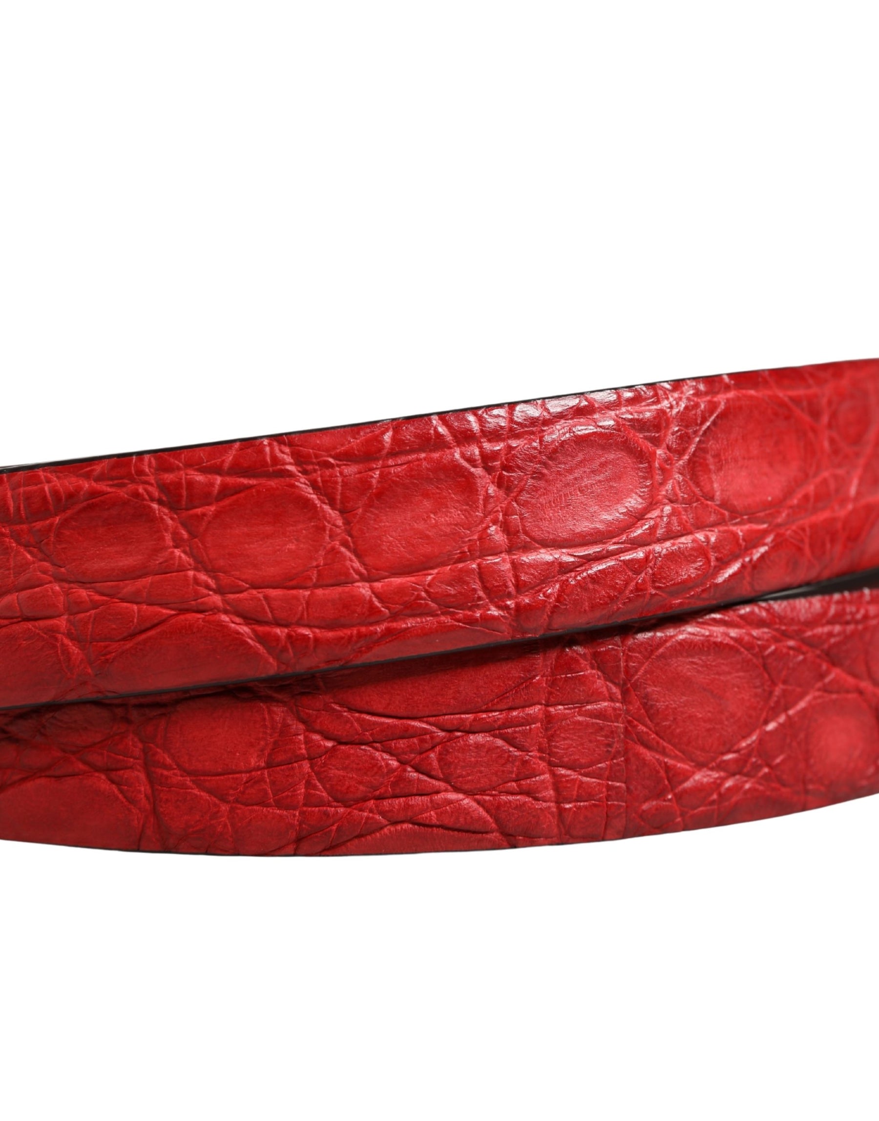 Dolce & Gabbana Men Red Exotic Leather Metal Buckle Belt | Regal Royce