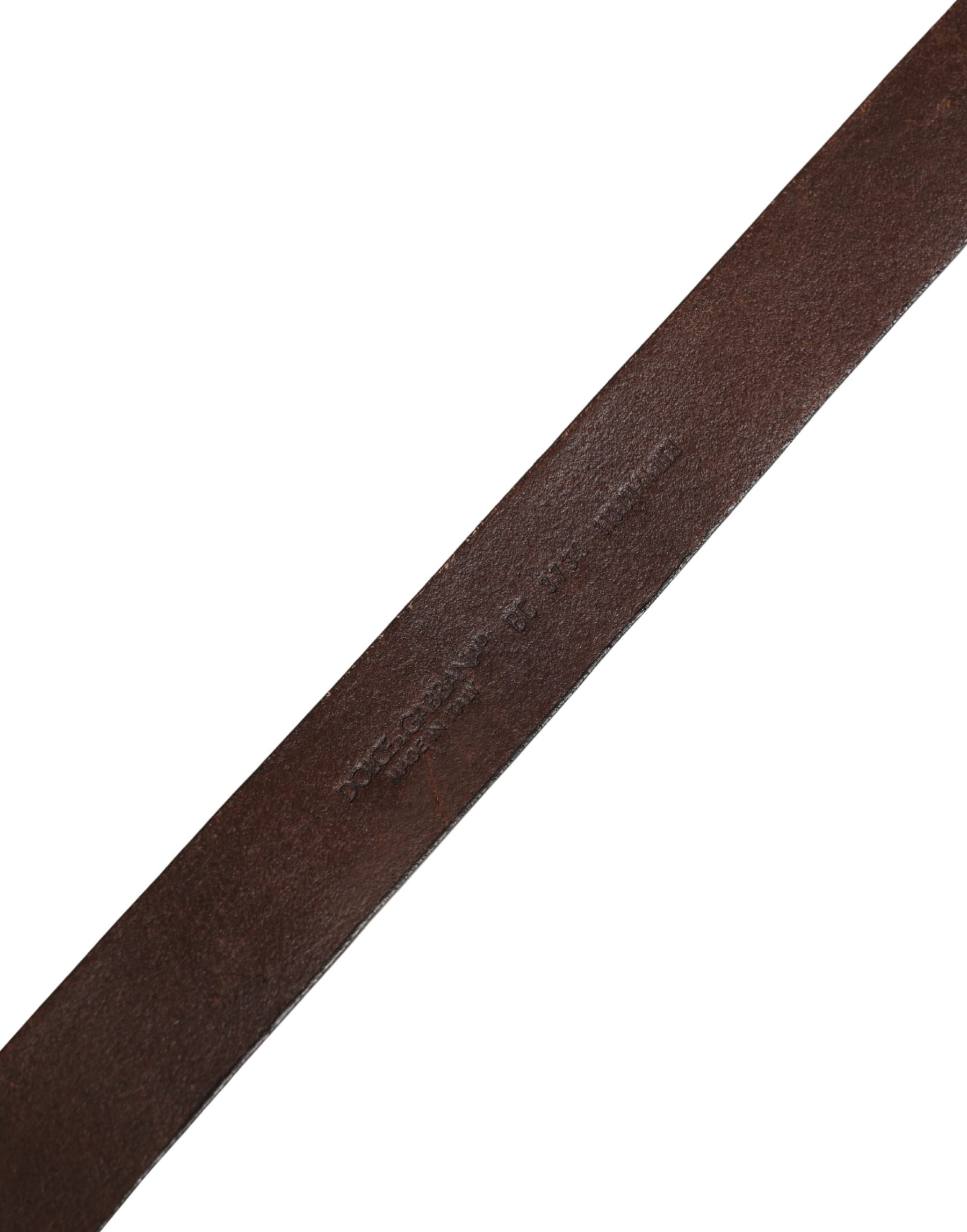 Dolce & Gabbana Men Brown Calf Leather Logo Metal Buckle Belt | Regal Royce