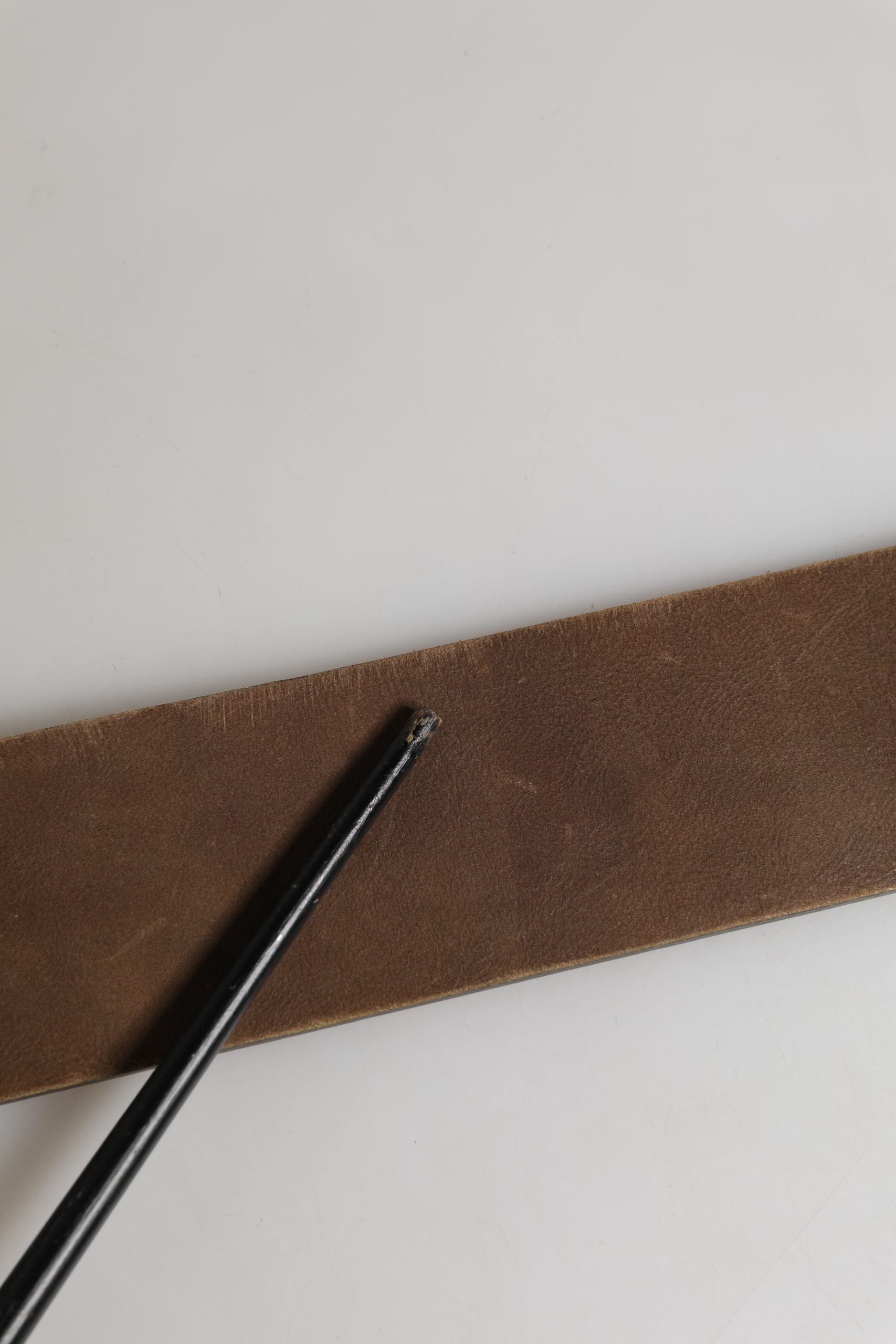 Ermanno Scervino Brown Leather Wide Gold Metal Buckle Belt | Regal Royce