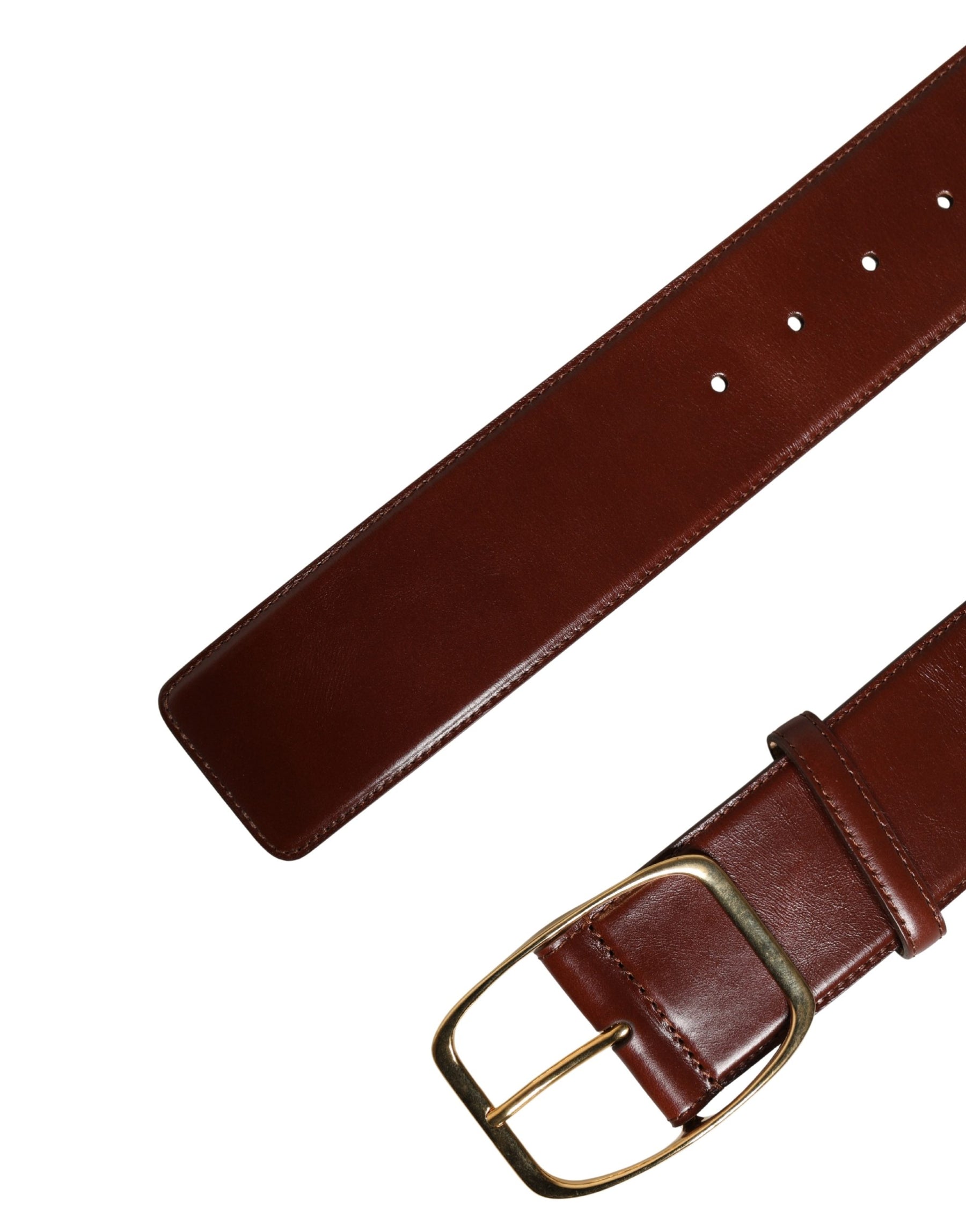 Dolce & Gabbana Brown Leather Waist Gold Metal Buckle Belt | Regal Royce