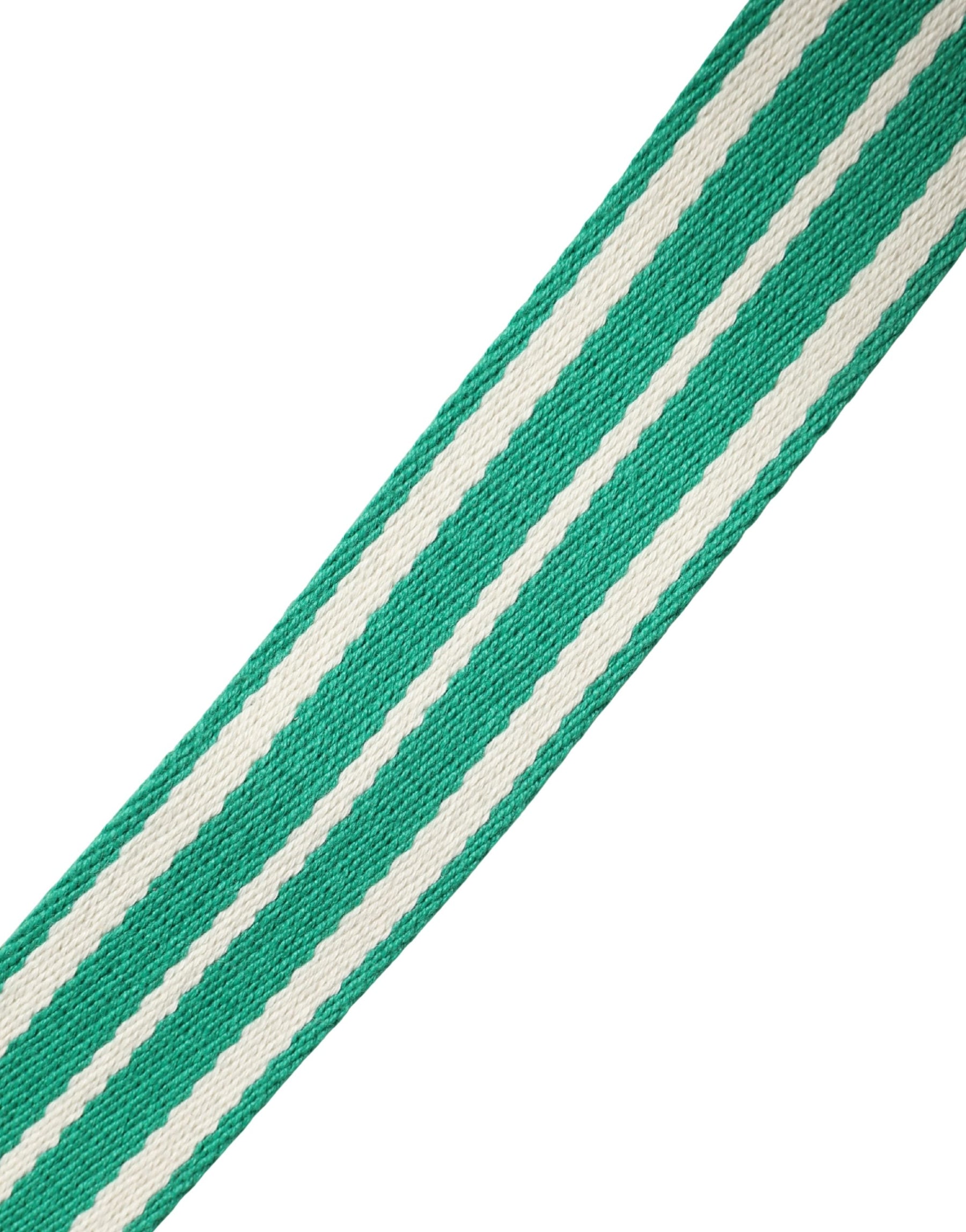 Red Valentino White Green Stripes Canvas Silver Metal Buckle Belt | Regal Royce