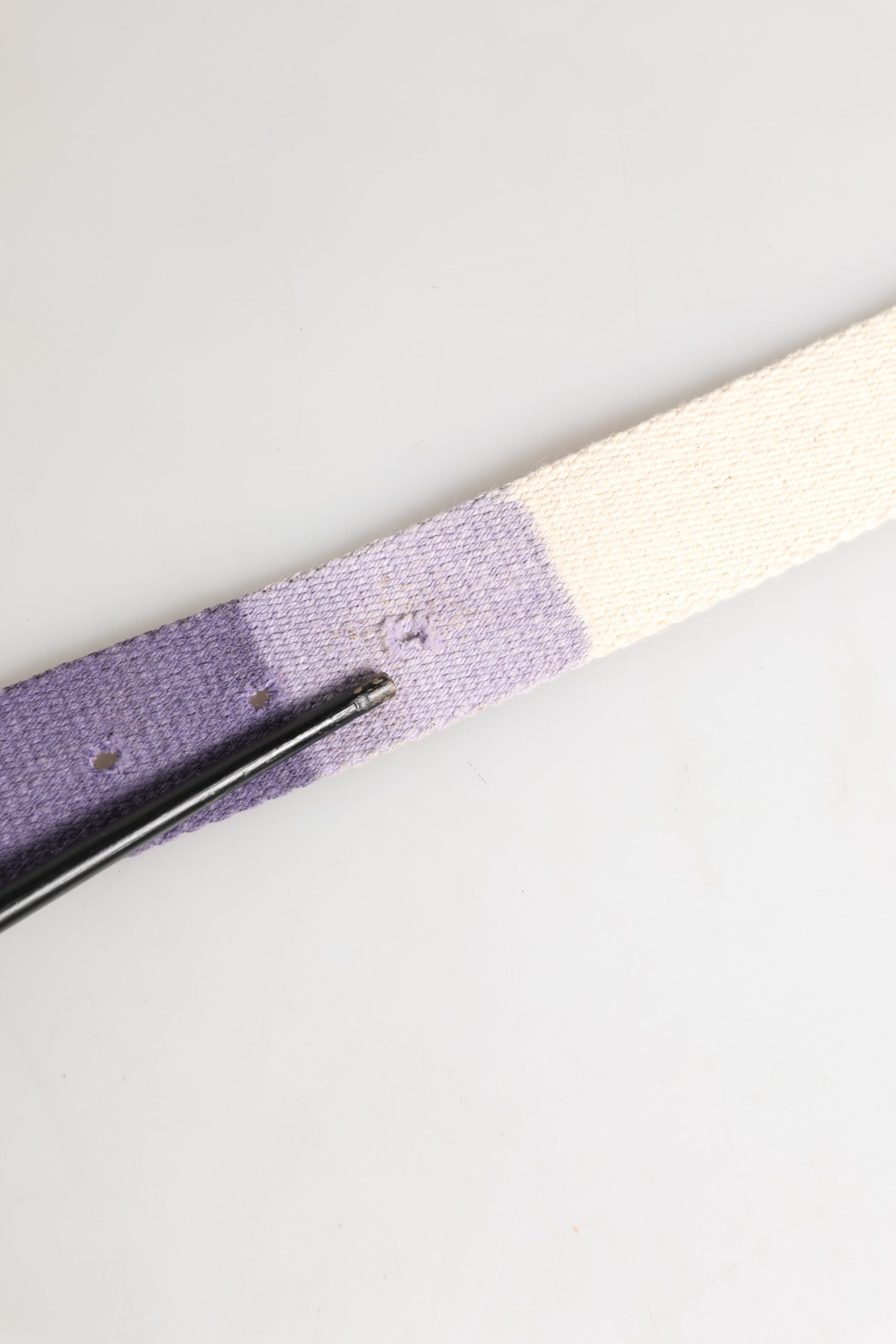 Ermanno Scervino Men Purple Canvas Silver Metal Buckle Belt | Regal Royce