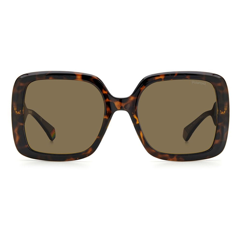 Polaroid Brown Resin Sunglasses | Regal Royce