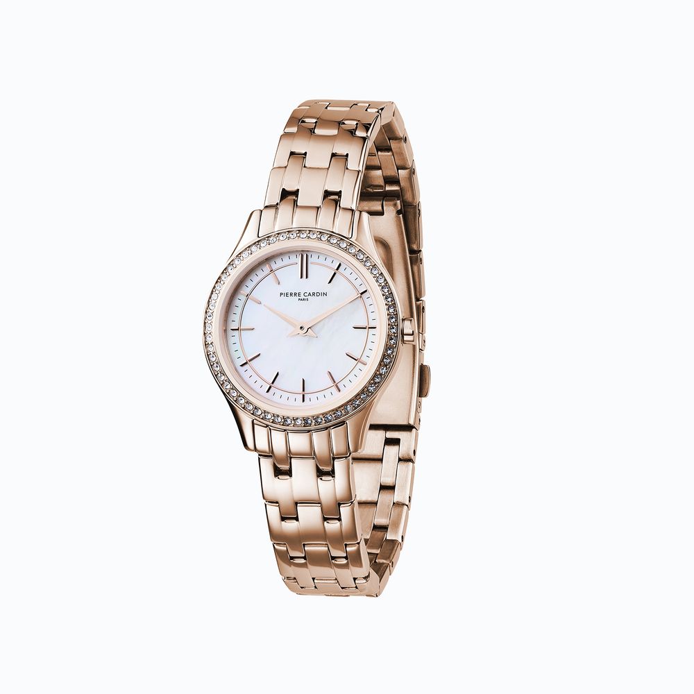 Pierre Cardin Multicolor Stainless Steel Dress Watch | Regal Royce