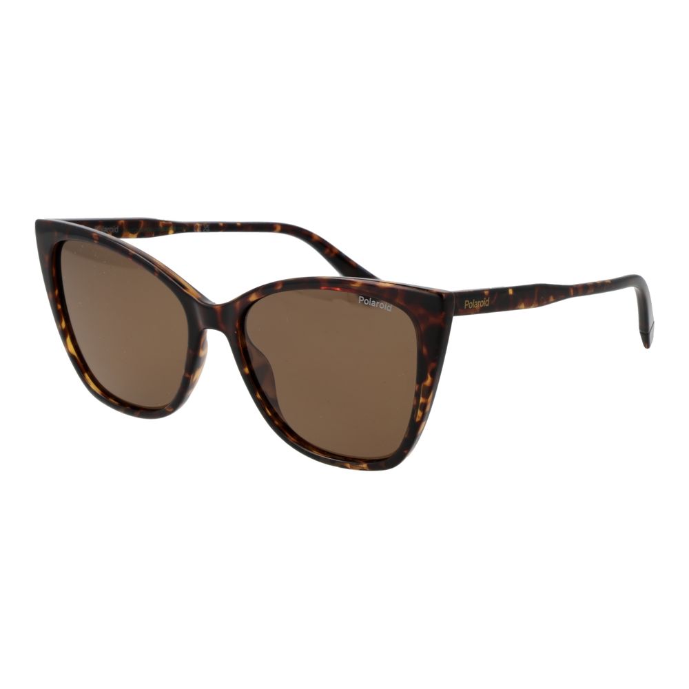 Polaroid Brown Polycarbonate Sunglasses | Regal Royce