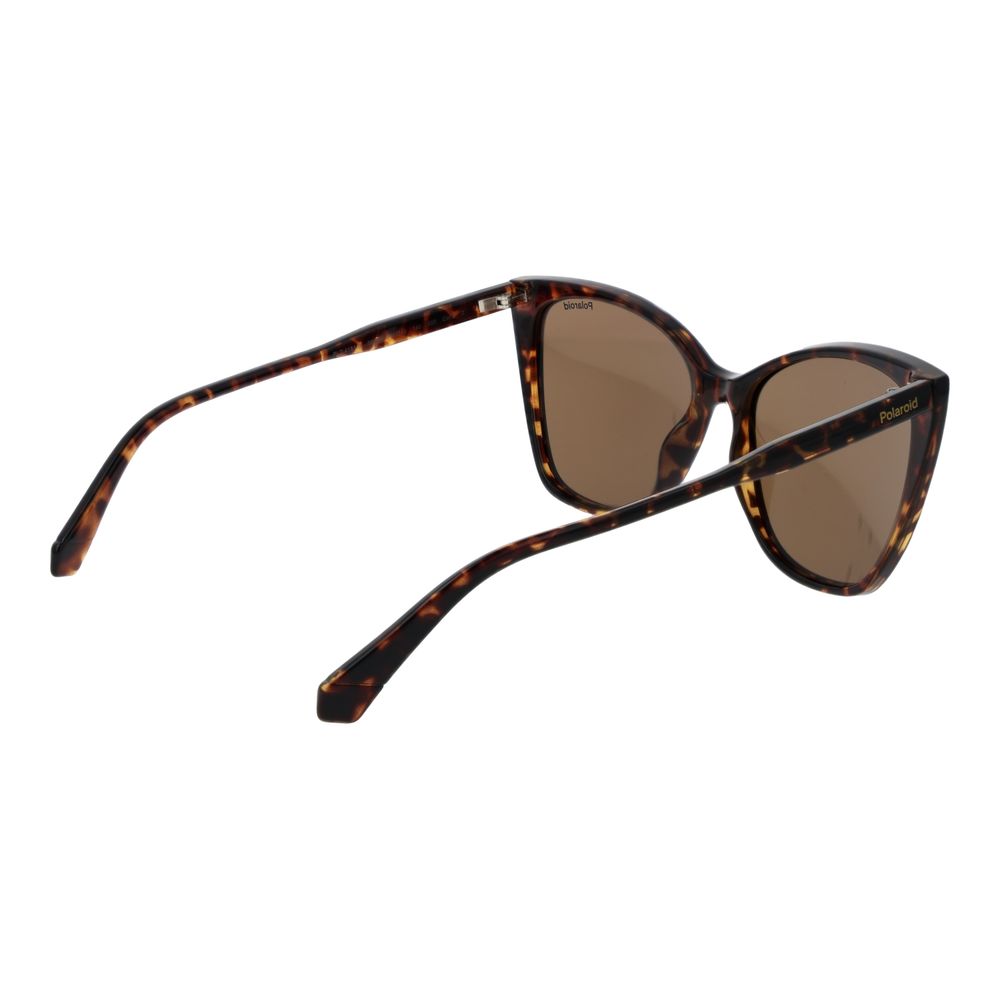 Polaroid Brown Polycarbonate Sunglasses | Regal Royce