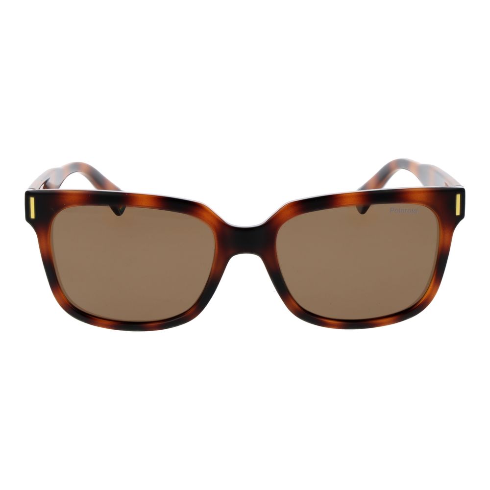 Polaroid Brown Polycarbonate Sunglasses | Regal Royce