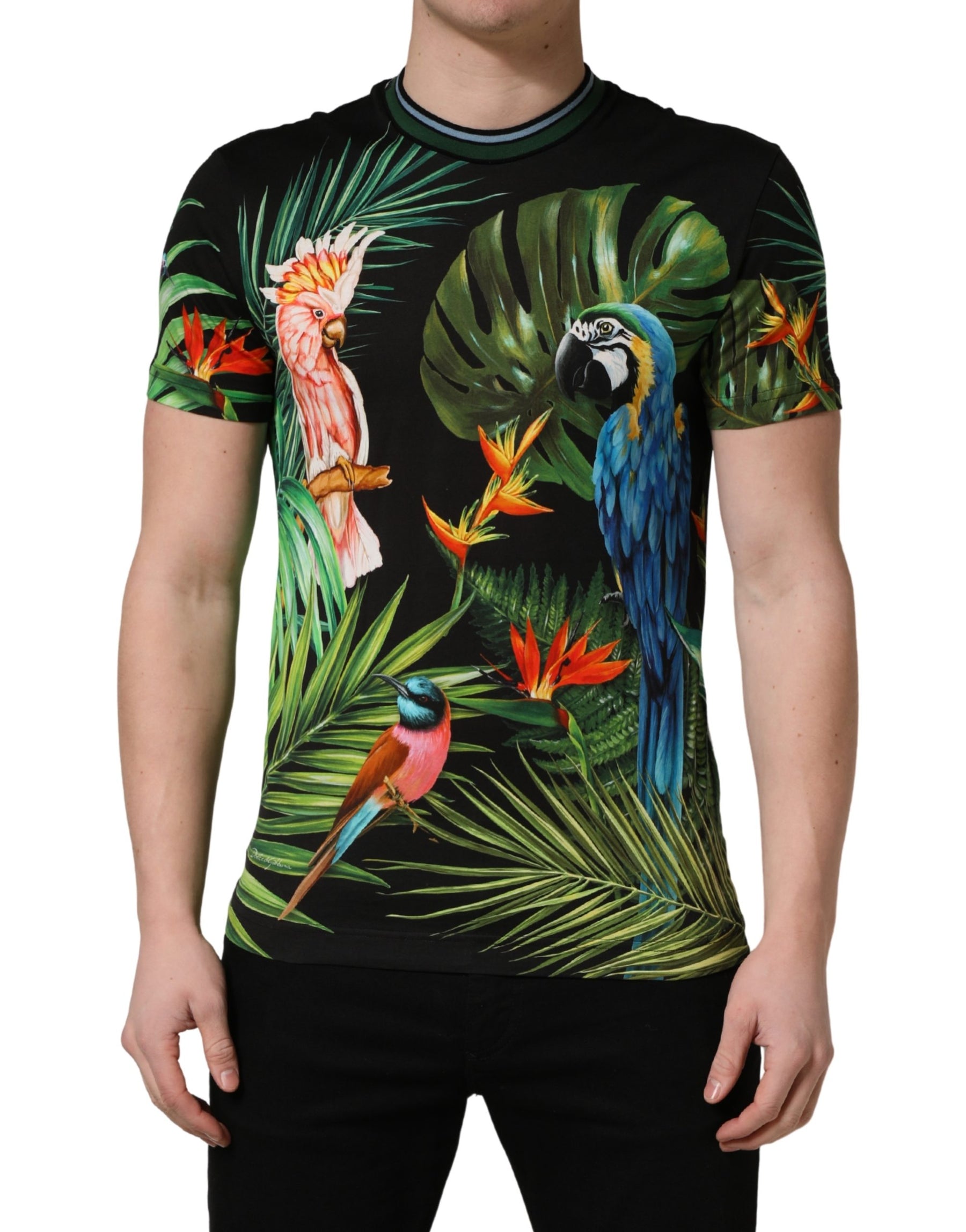 Dolce & Gabbana Black Bird Print Cotton Men Crew Neck T-shirt | Regal Royce