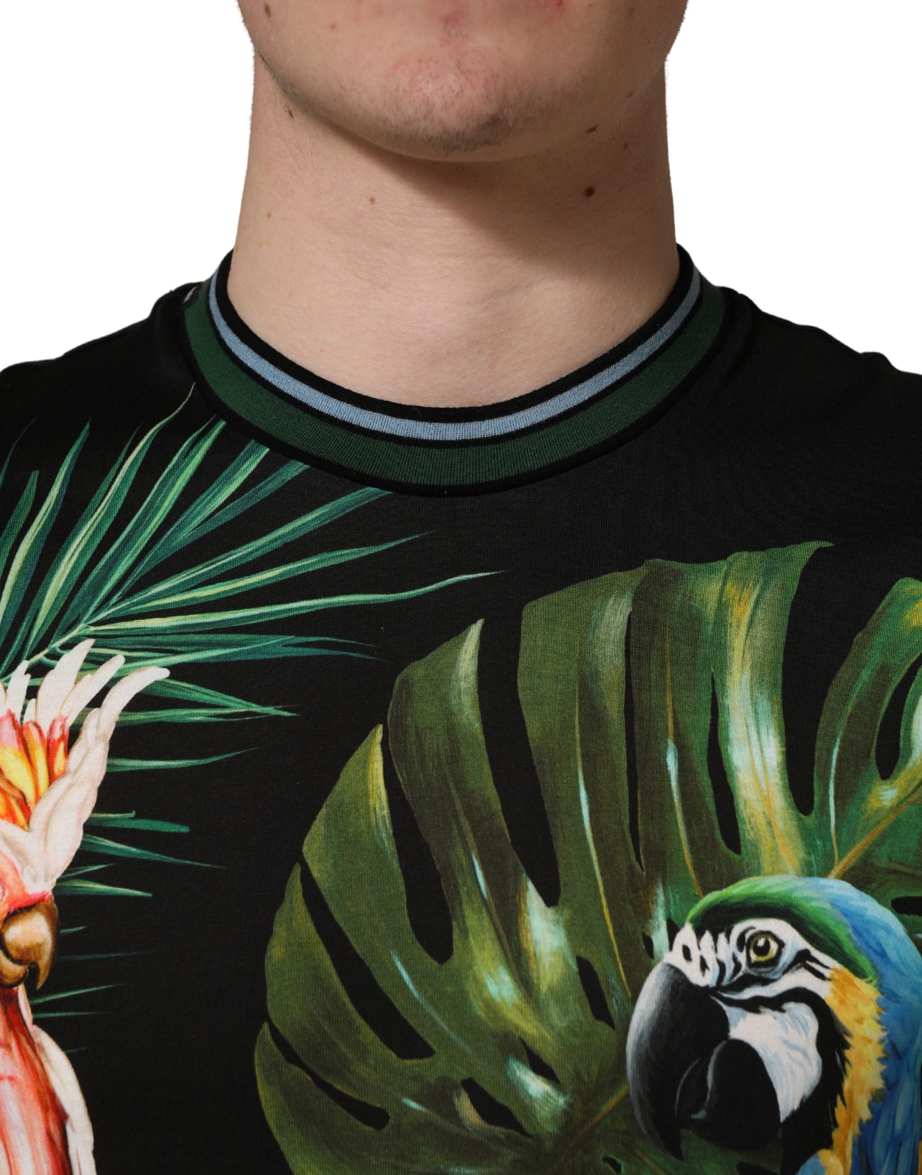 Dolce & Gabbana Black Bird Print Cotton Men Crew Neck T-shirt | Regal Royce