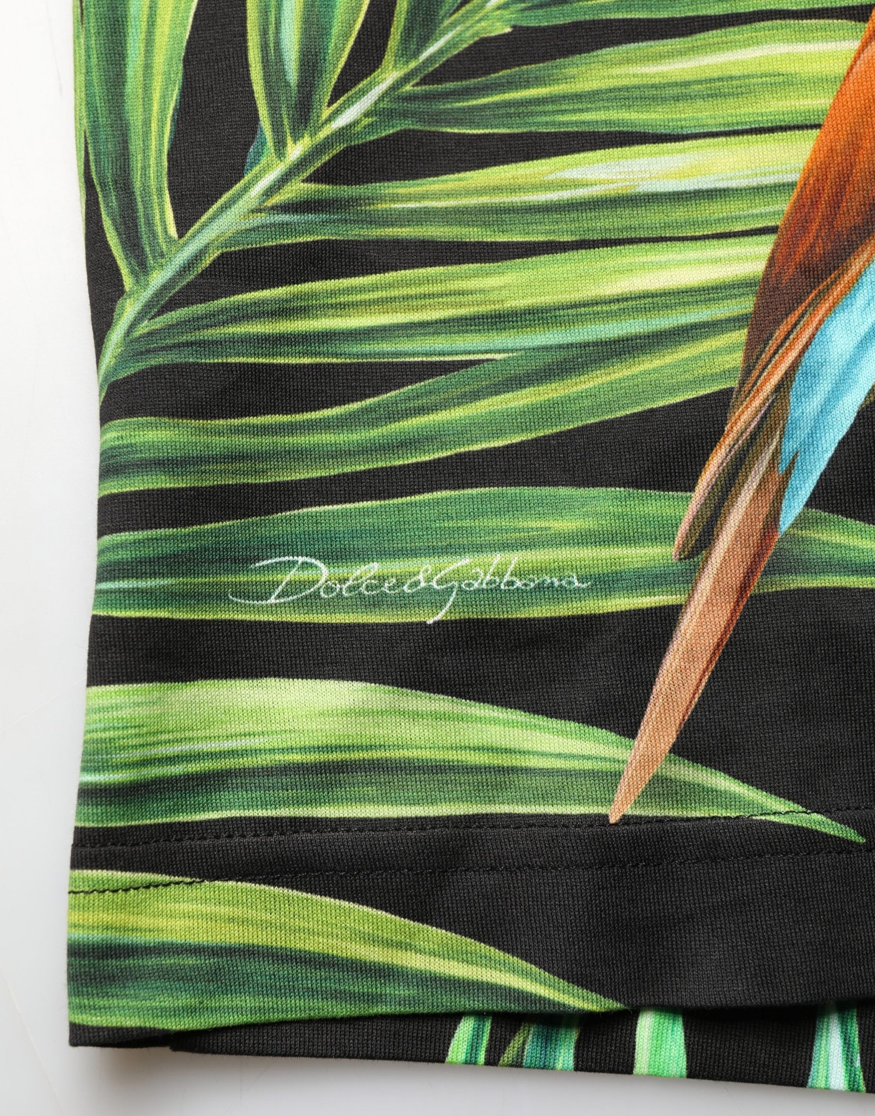 Dolce & Gabbana Black Bird Print Cotton Men Crew Neck T-shirt | Regal Royce