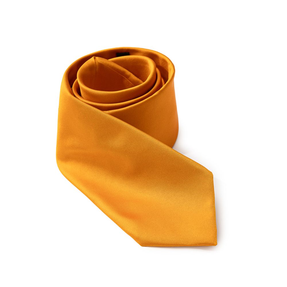 Dolce & Gabbana Orange Silk Tie | Regal Royce