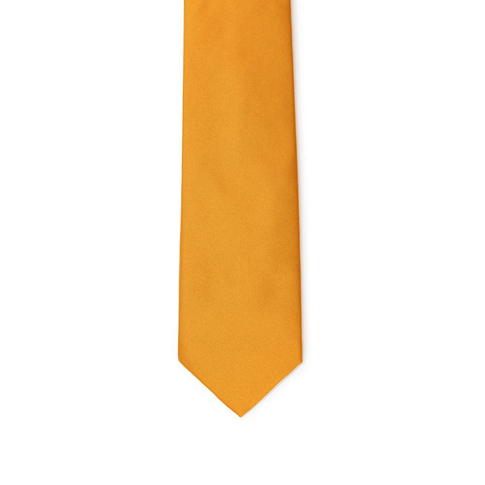 Dolce & Gabbana Orange Silk Tie | Regal Royce