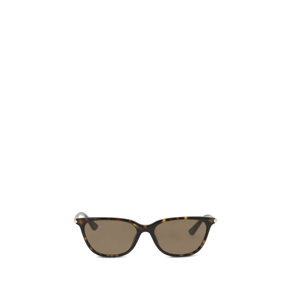 Alexander McQueen Brown Acetate Sunglasses | Regal Royce