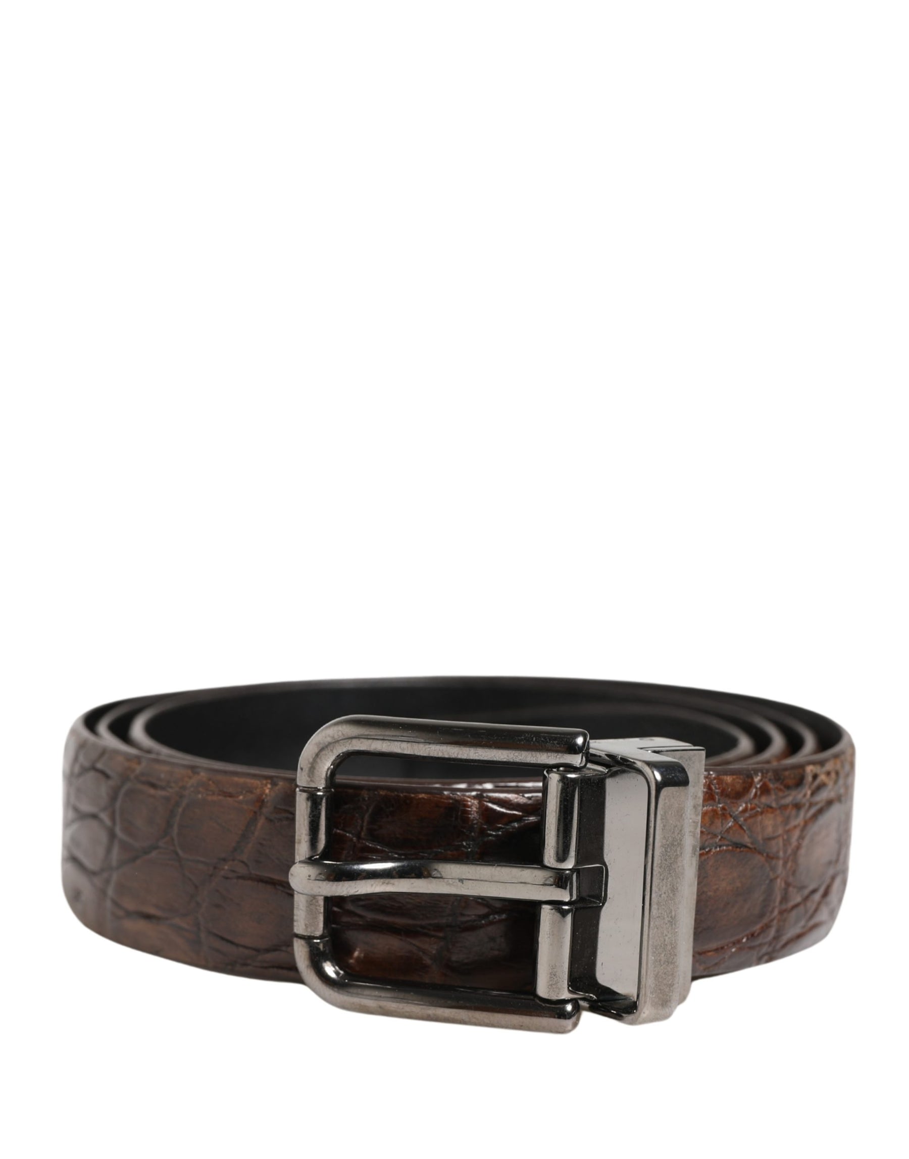 Dolce & Gabbana Brown Leather Silver Tone Metal Buckle Belt | Regal Royce