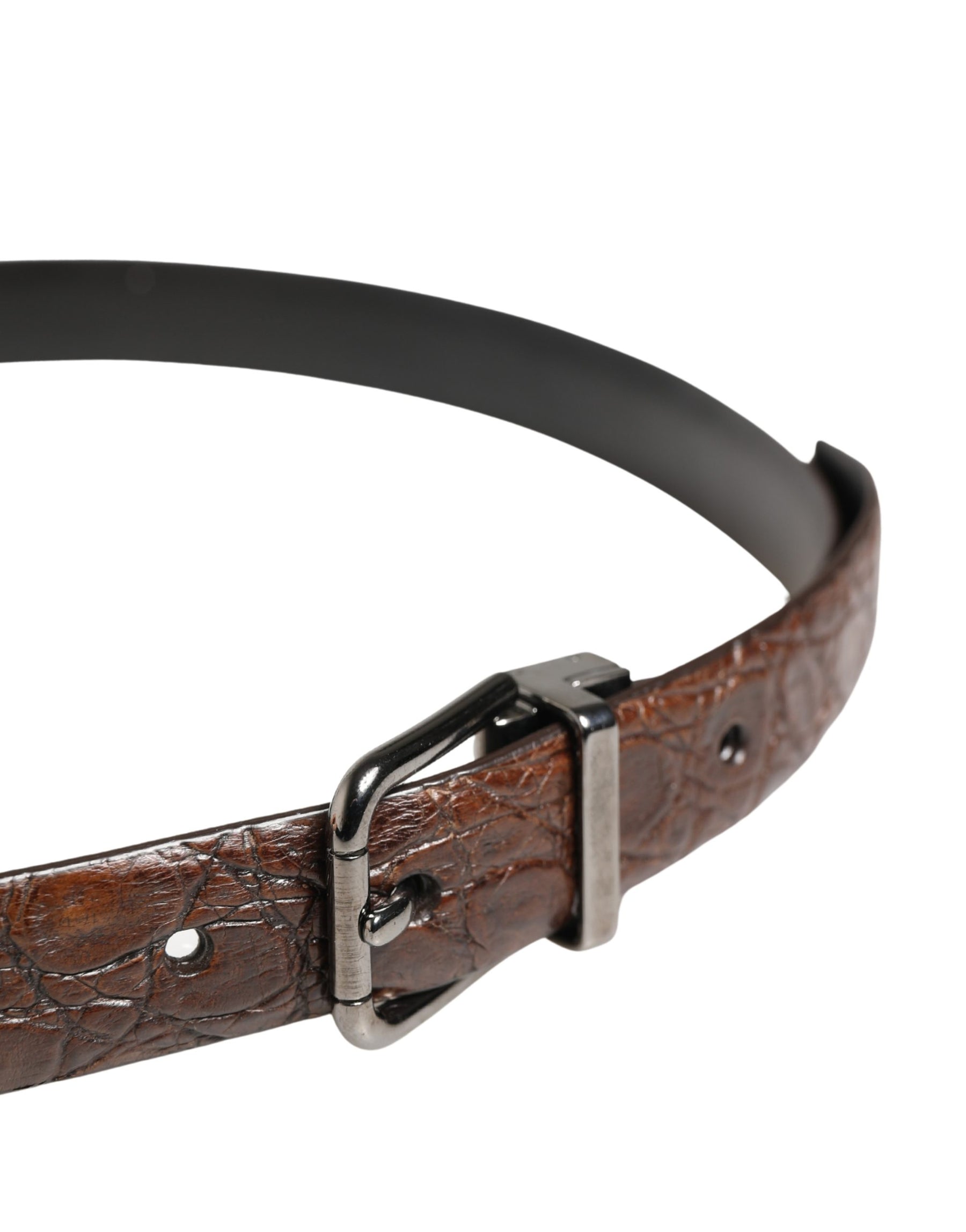 Dolce & Gabbana Brown Leather Silver Tone Metal Buckle Belt | Regal Royce