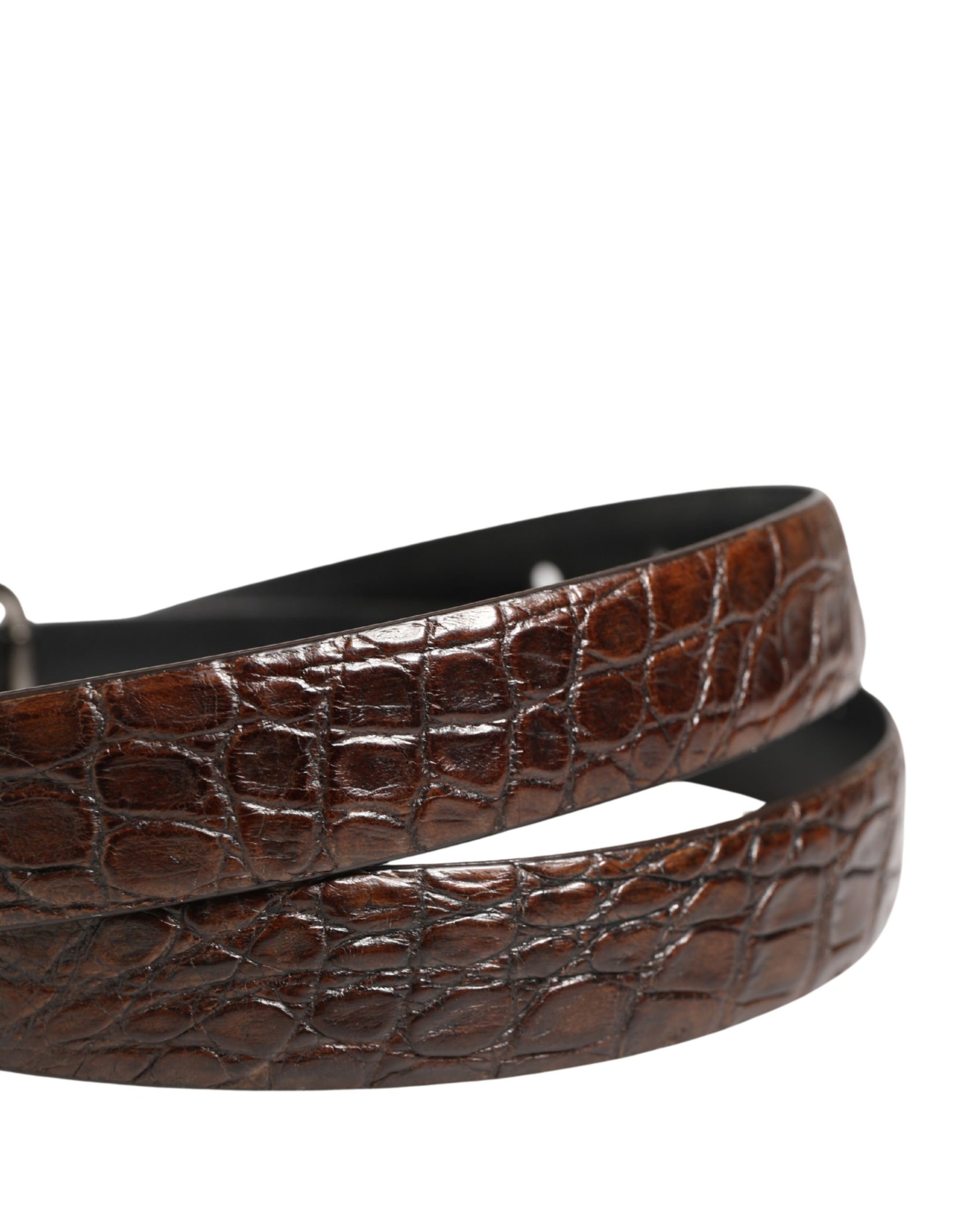 Dolce & Gabbana Brown Leather Silver Tone Metal Buckle Belt | Regal Royce