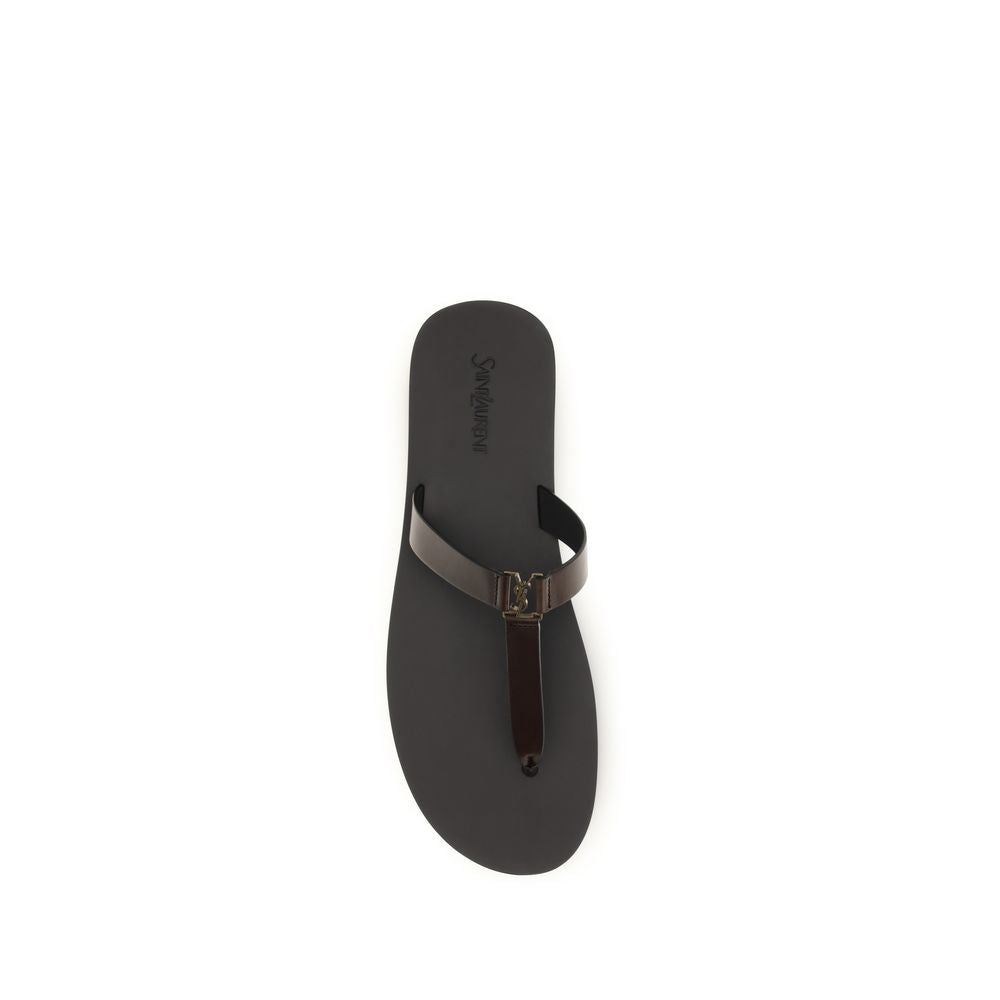 Saint Laurent Brown Calf Leather Bos Taurus Flat Sandals | Regal Royce