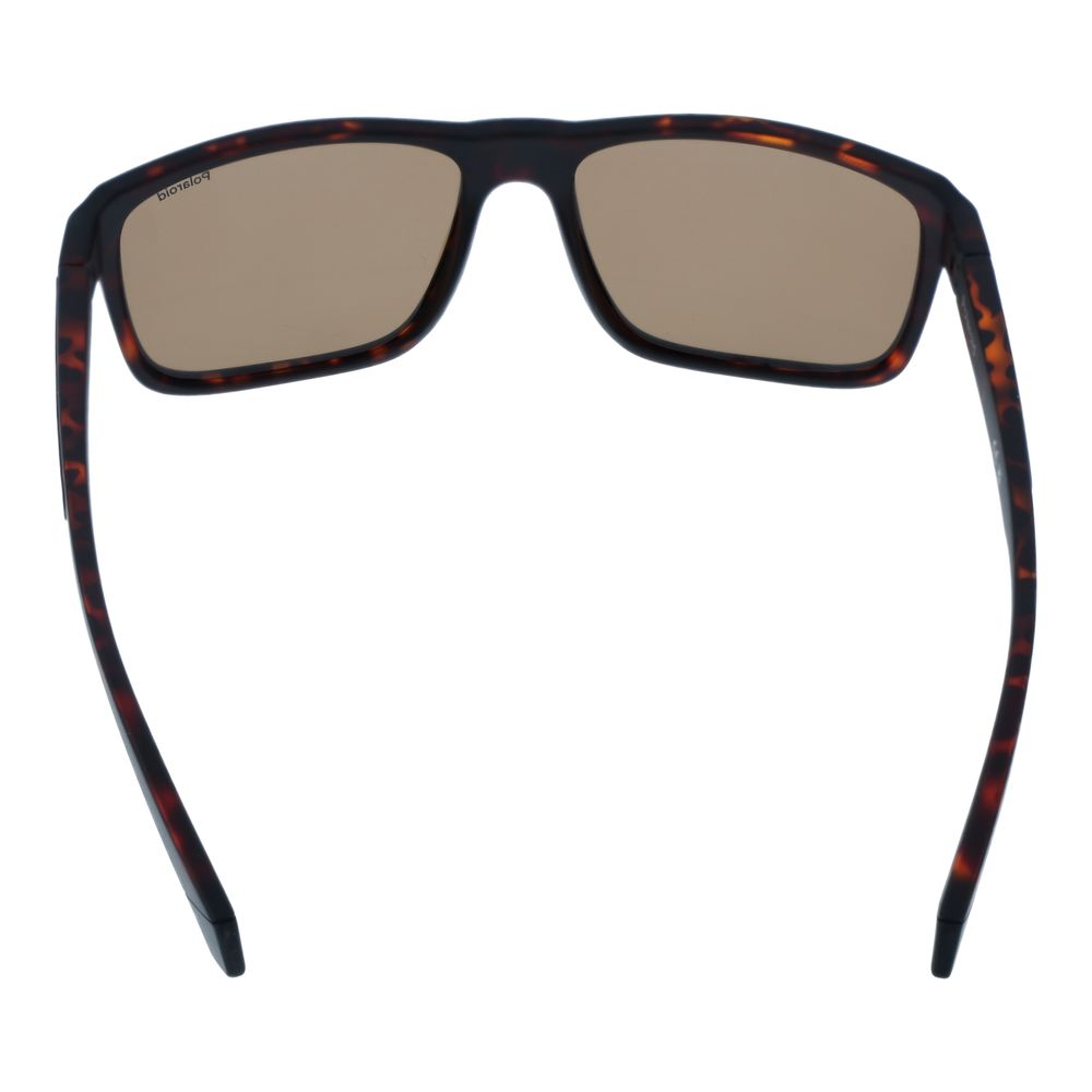 Polaroid Brown Plastic Sunglasses | Regal Royce
