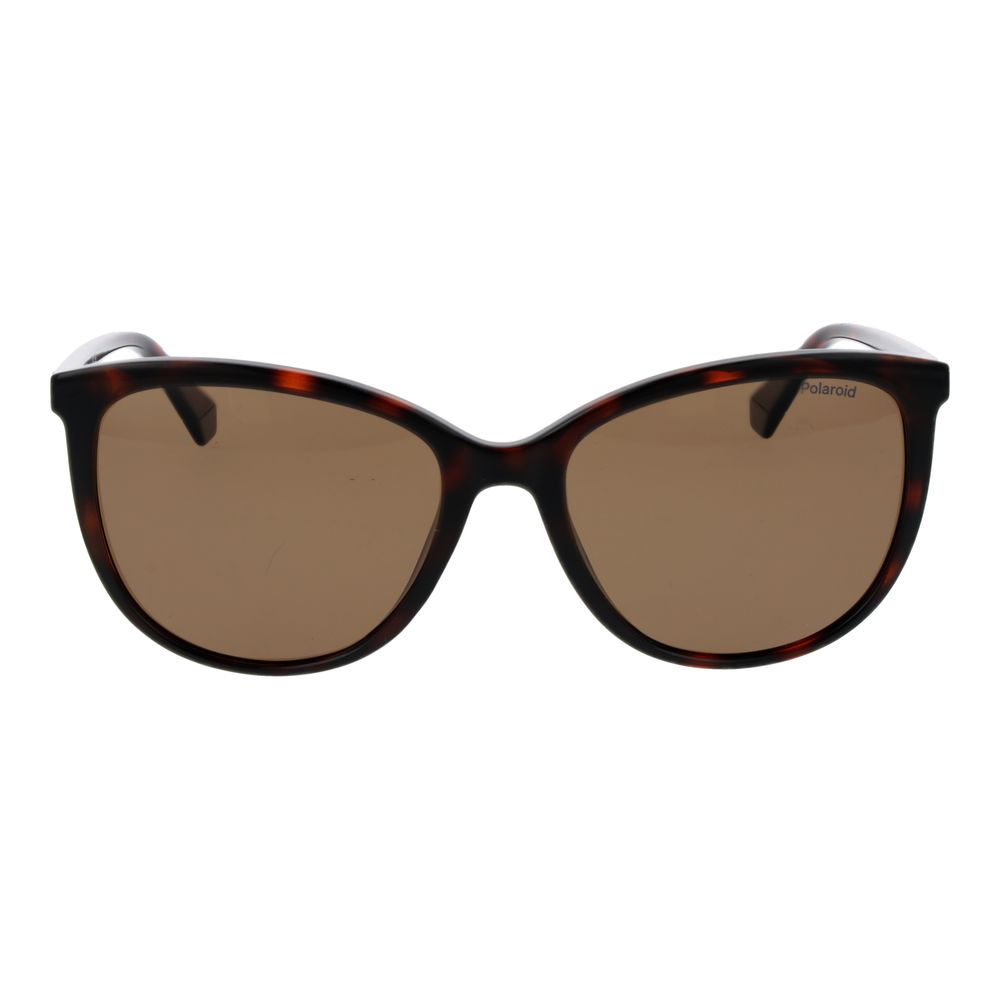 Polaroid Brown Plastic Sunglasses | Regal Royce