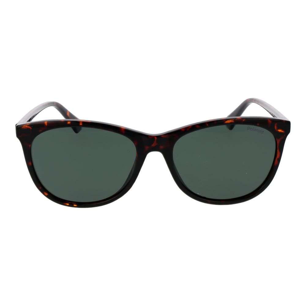 Polaroid Brown Plastic Sunglasses | Regal Royce