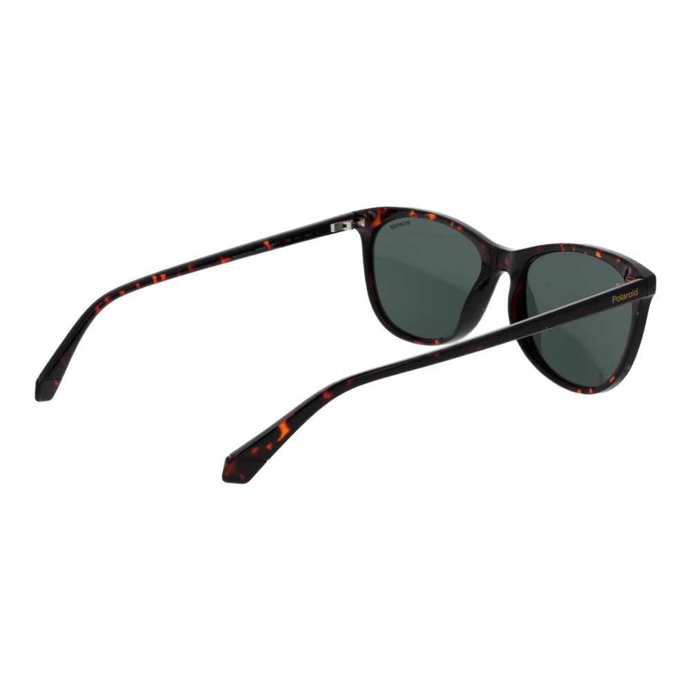 Polaroid Brown Plastic Sunglasses | Regal Royce