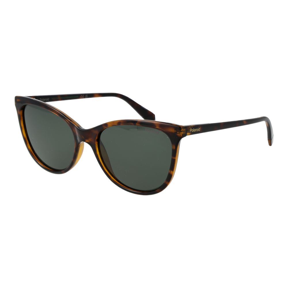 Polaroid Brown Plastic Sunglasses | Regal Royce
