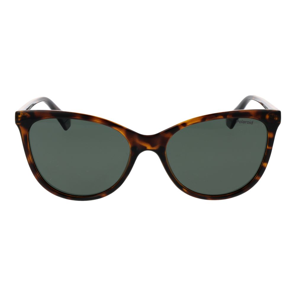 Polaroid Brown Plastic Sunglasses | Regal Royce