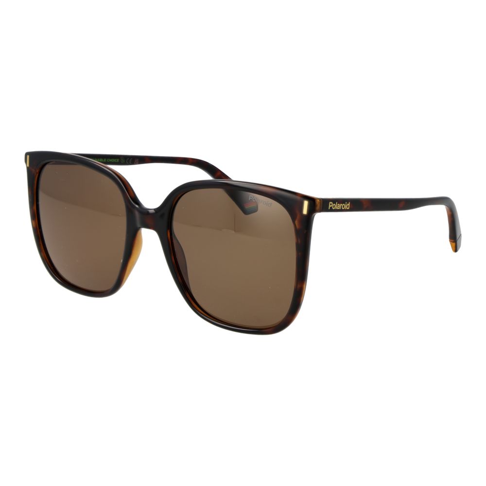 Polaroid Brown Plastic Sunglasses | Regal Royce