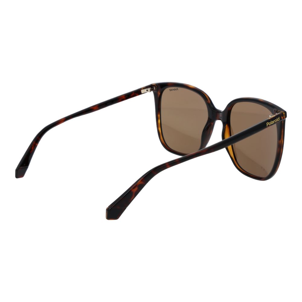 Polaroid Brown Plastic Sunglasses | Regal Royce