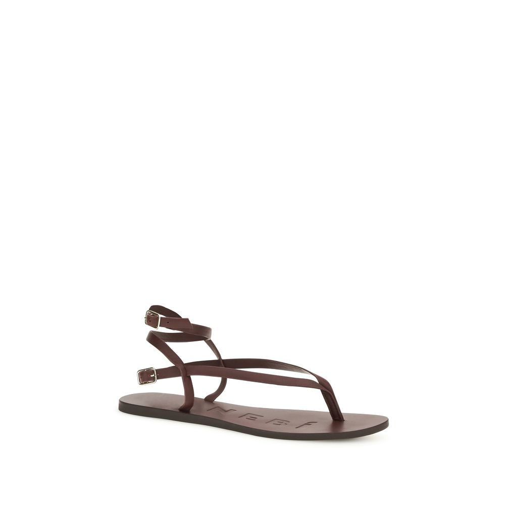 Manebi Brown Calf Leather Bos Taurus Flat Sandals | Regal Royce