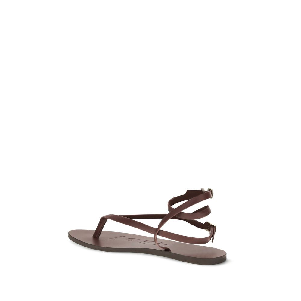 Manebi Brown Calf Leather Bos Taurus Flat Sandals | Regal Royce