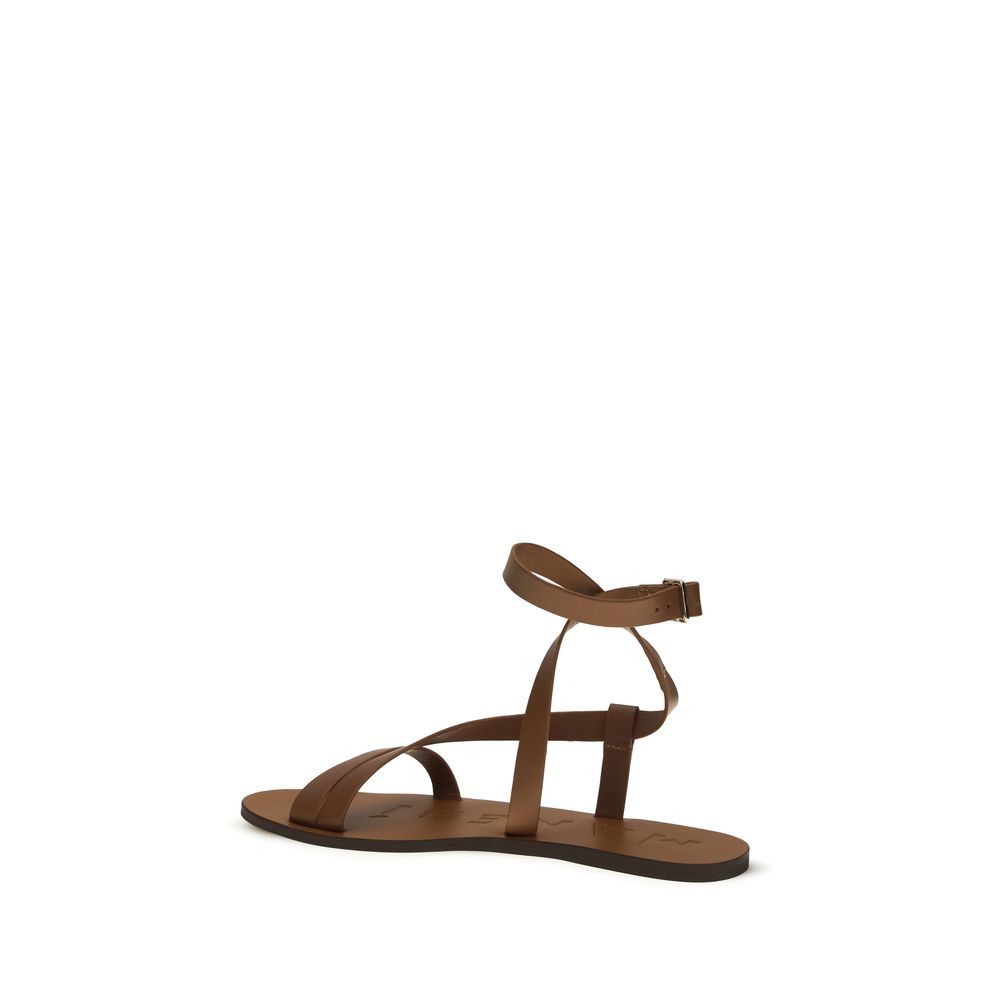 Manebi Brown Calf Leather Bos Taurus Flat Sandals | Regal Royce