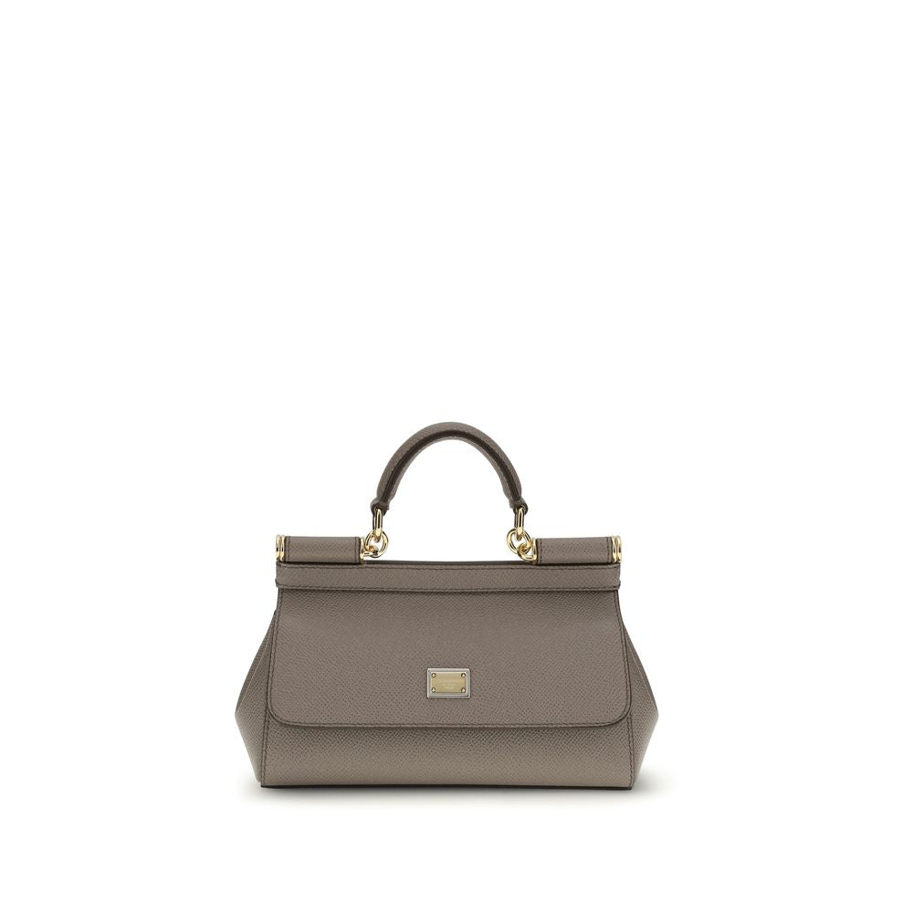 Dolce & Gabbana Gray Calf Leather Bos Taurus Handbag | Regal Royce