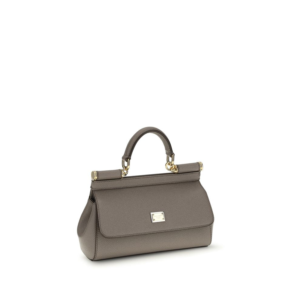 Dolce & Gabbana Gray Calf Leather Bos Taurus Handbag | Regal Royce