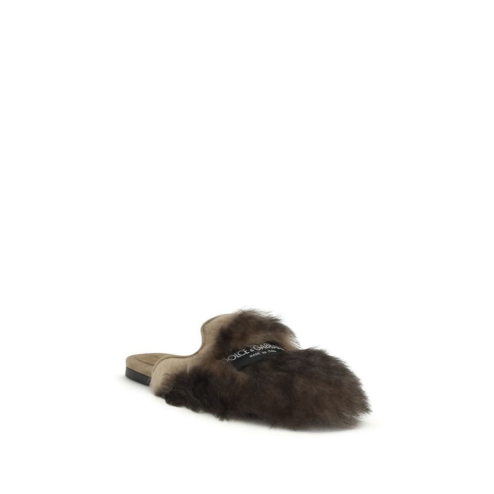 Dolce & Gabbana Gray Lamb Ovis Aries Aries Mules | Regal Royce