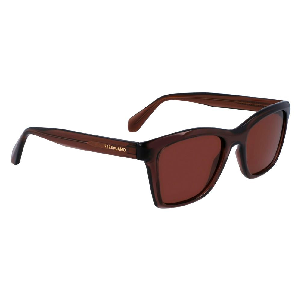 Ferragamo Brown Injected Sunglasses | Regal Royce