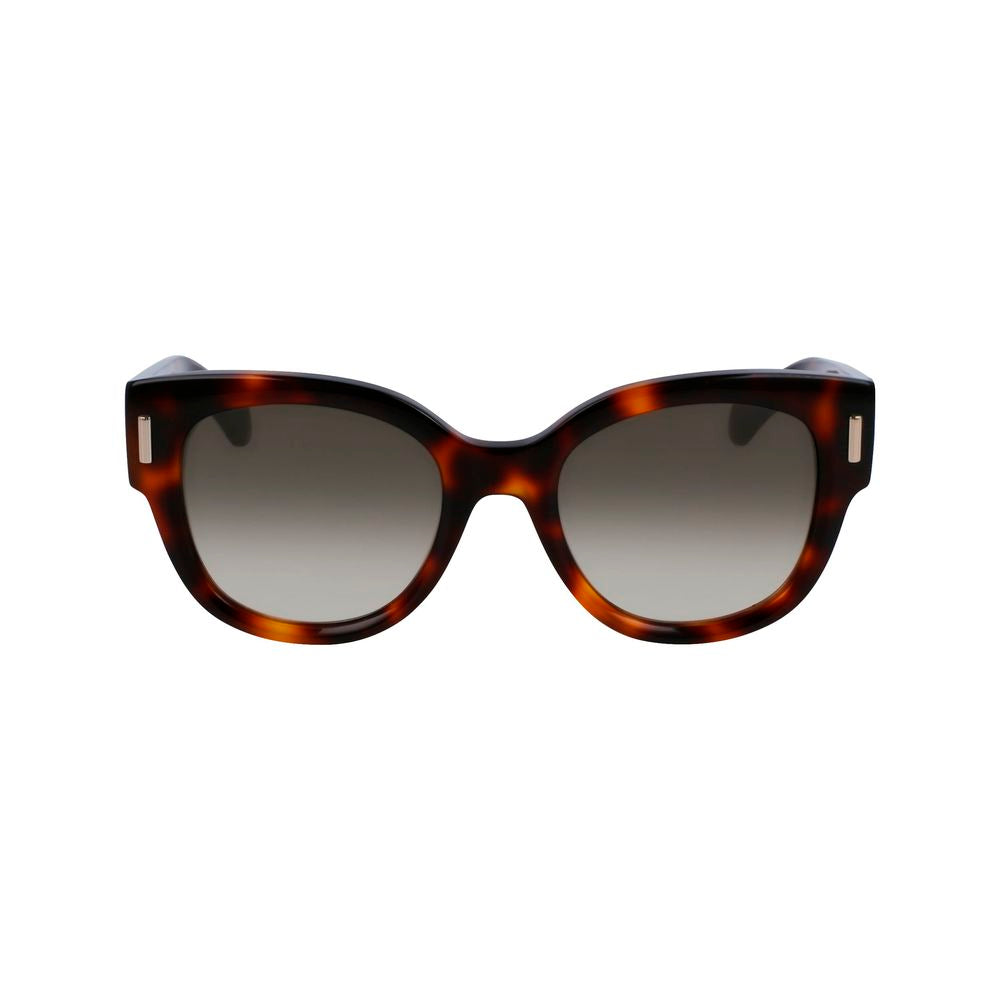 Ferragamo Brown Acetate Sunglasses | Regal Royce