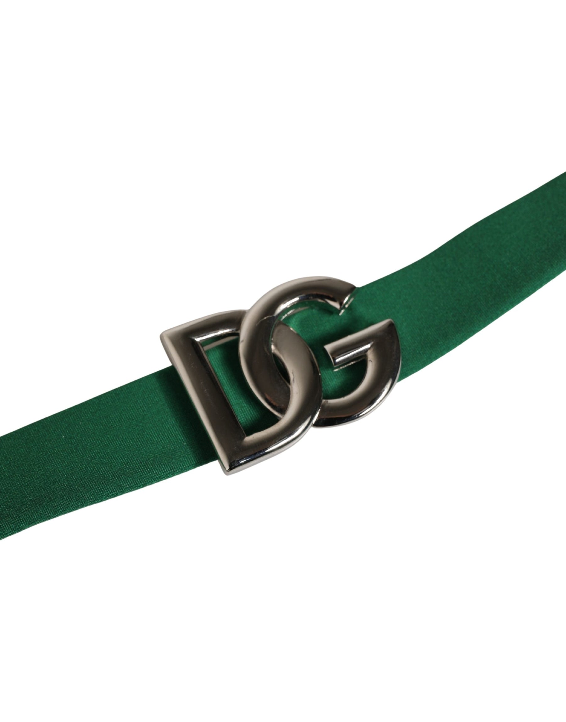 Dolce & Gabbana Green Logo Plaque Nylon Brief Panty Underwear | Regal Royce