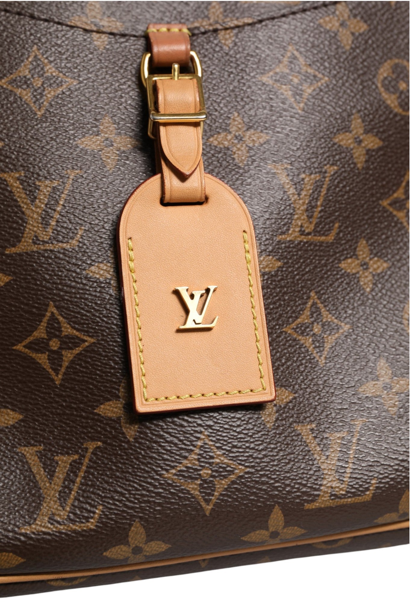 Louis Vuitton Monogram Canvas Odeon PM Crossbody Bag | Regal Royce