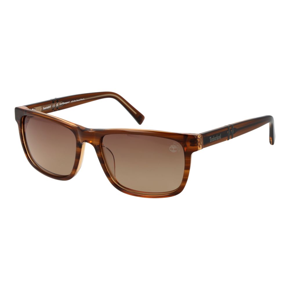 Timberland Brown Acetate Sunglasses | Regal Royce