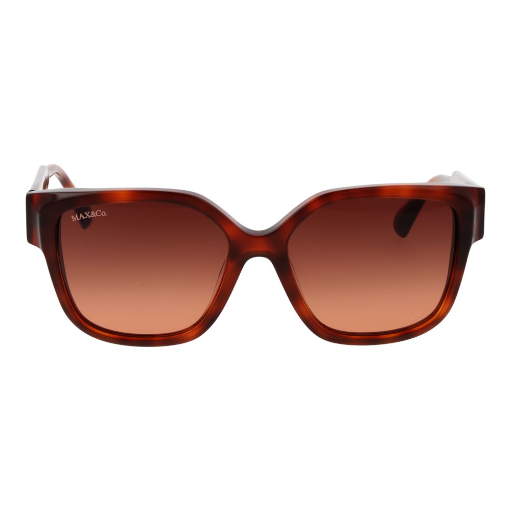 Max & Co Brown Plastic Sunglasses | Regal Royce